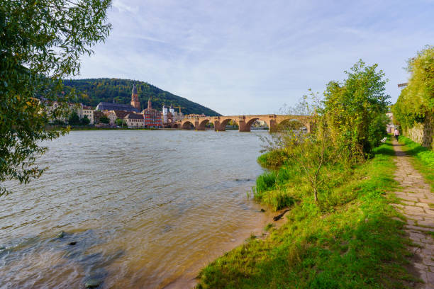 istock Old Stone Bridge, in Heidelberg 2203627646