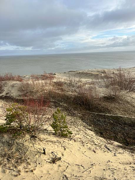 istock The Curonian Spit, sand dunes, Kaliningrad, Russia 2203630658