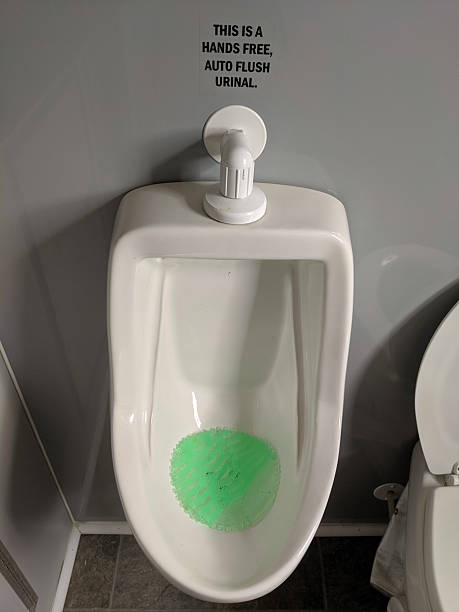 istock Modern Hands-Free Auto Flush Urinal in a Restroom 2203634956