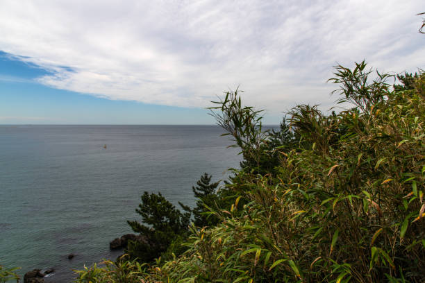 tranquil seascape