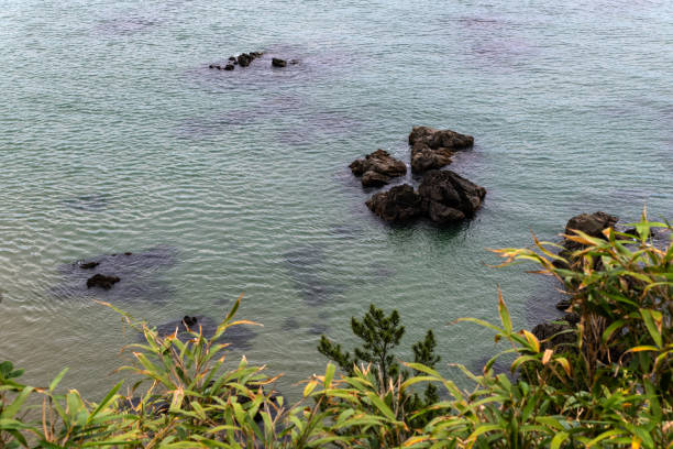 idyllic seascape