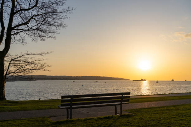 A bench in Sunset Beach Park, Vancouver City beautiful landscape in spring sunset time. BC, Canada.