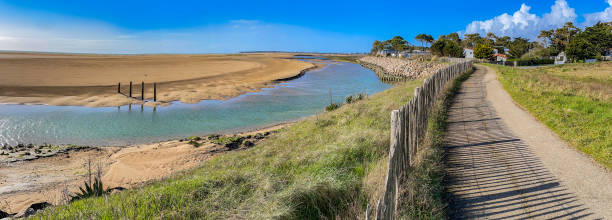 pedestrian path on the seaside in the nature reserve of the beautiful henriette in vendee, faute sur mer , france stock photo