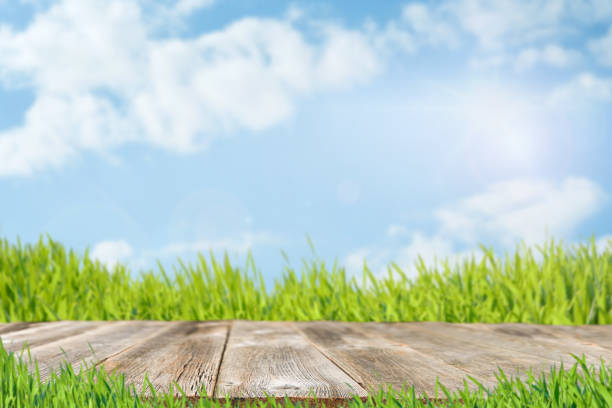 Wooden empty table with green grass or meadow with blue sky in background. Empty wooden background with copy space. Happy Passover Seder or Easter background. World environment day.