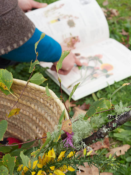 istock Botanist reading a book about plants outdoors with basket and flowers 2203645798