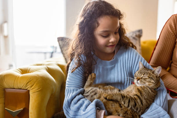 istock Cozy Moment with Tabby Cat 2203648988
