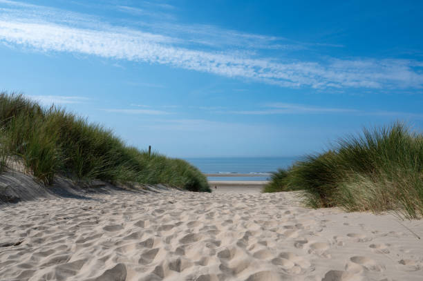 istock Dunes with beach grass and the sea 2203649567