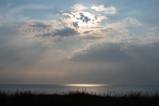Dune grass in the foreground, by the sea with sun behind the clouds