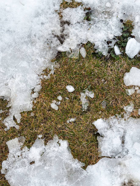 istock Melting snow revealing patches of grass underneath. A transition from winter to spring is captured with ice and green contrasting beautifully. 2203655764