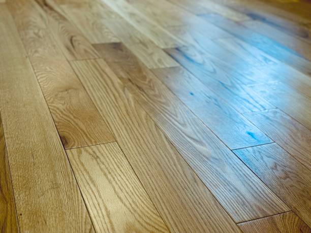 istock Domestic Hardwood Floor 2203656917
