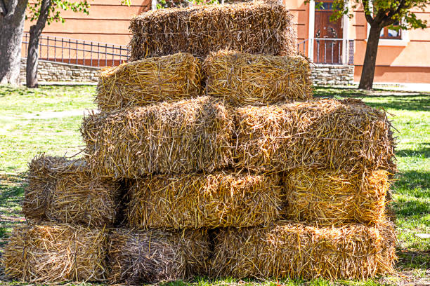 Hay bales stacked together under trees in a sunny and green park setting