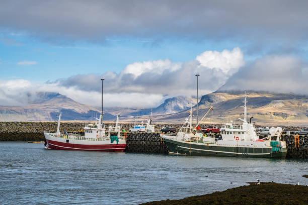 istock Boats in Harbor Olafsvik, Iceland 2203670064
