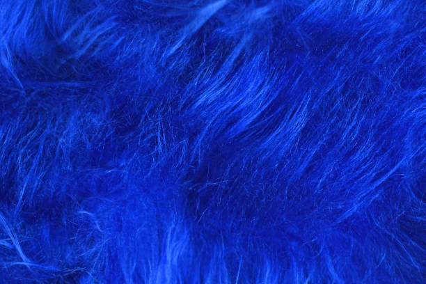 blue-purple velour plush cloth textured background for design purpose
