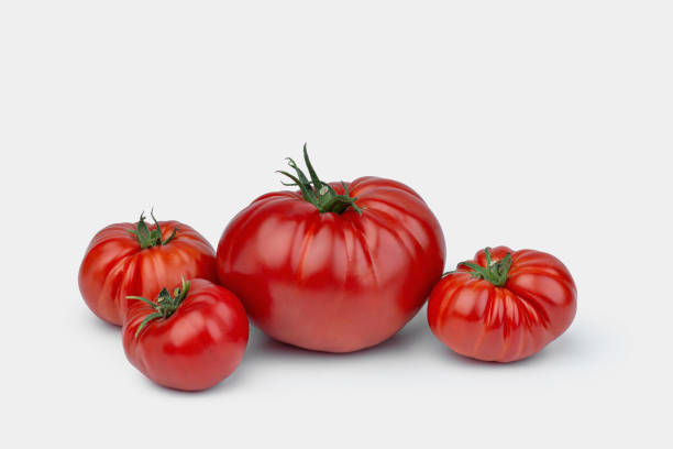 istock Red and pink tomatoes on a white background 2203675026