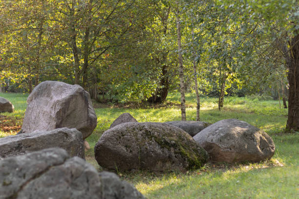 istock A cluster of huge boulders in a sunlit clearing. 2203678536