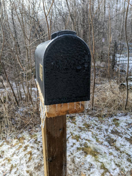 istock Rural Mailbox Covered in Icicles Amid Winter Trees and Sparse Snow 2203678811