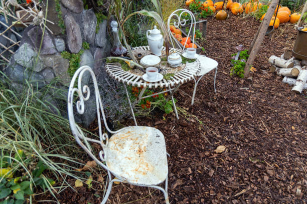 Halloween garden decorations concept. Autumn composition