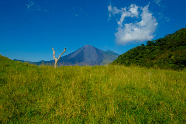 Beautiful image of a volcano peeking out from the grass