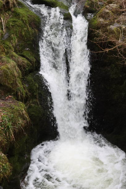istock Waterfall on a rocky woodland river 2203695081