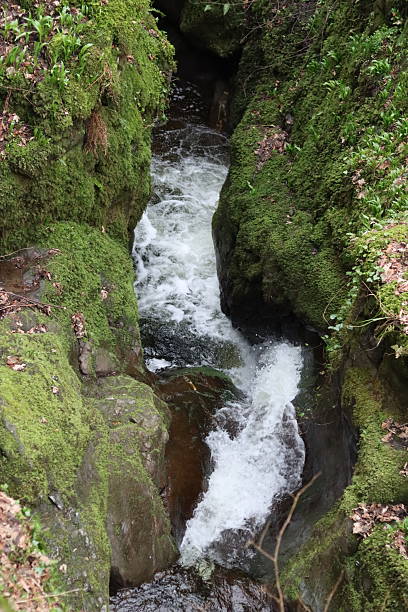 istock Waterfall on a rocky woodland river 2203695085