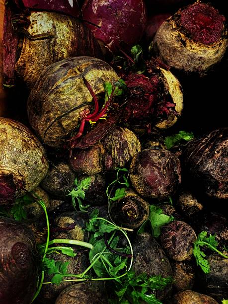 Beet and Radish 3