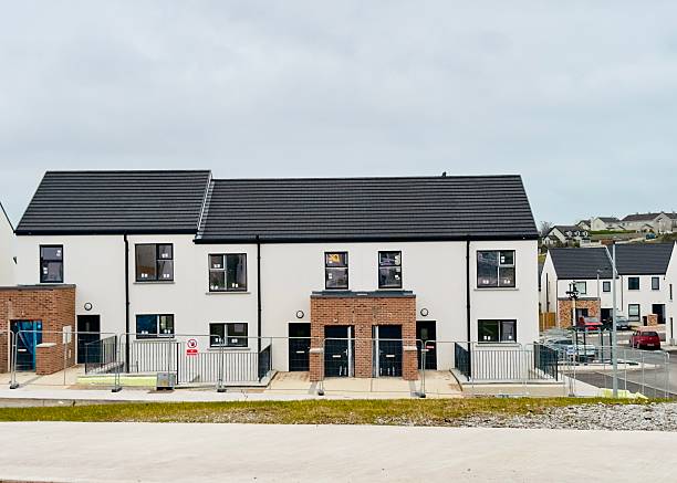 istock Newly built houses in Ireland 2203697258