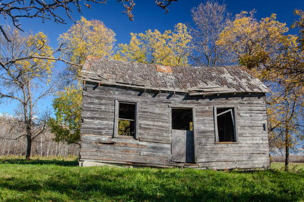 Steep Rock, Manitoba, September 29, 2010:  An old farmhouse stands among golden leaves, its once sturdy walls now leaning, weathered by time and neglect.  The roof is partially caved in, exposed to the brilliant blue sky.  Despite the decay, there's an odd beauty to the scene - a haunting reminder of days gone by, bathed in the warm glow of the changing season.