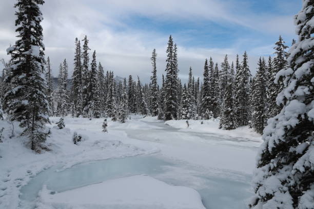 istock Canadian Rockies in Winter 2203702951