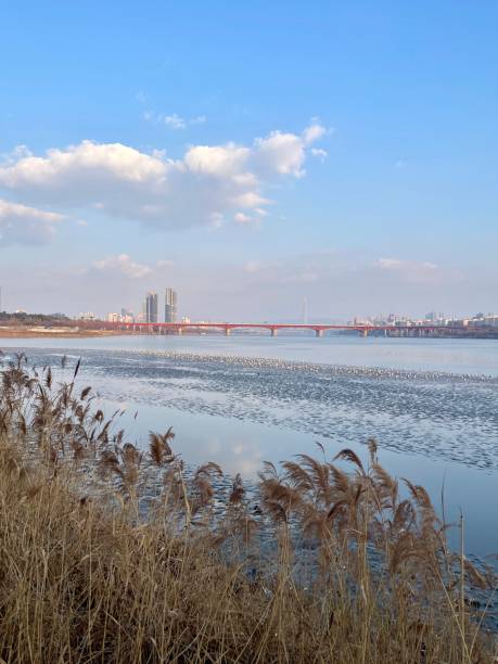 istock Seoul Han River and Seongsu bridge in Springtime 2203708213