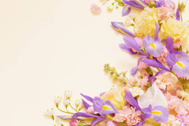 istock beautiful spring flowers on pastel background 2203712008