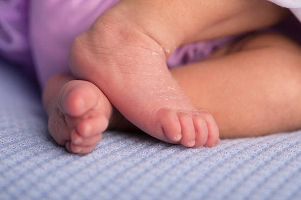 Little newborn baby feet close up