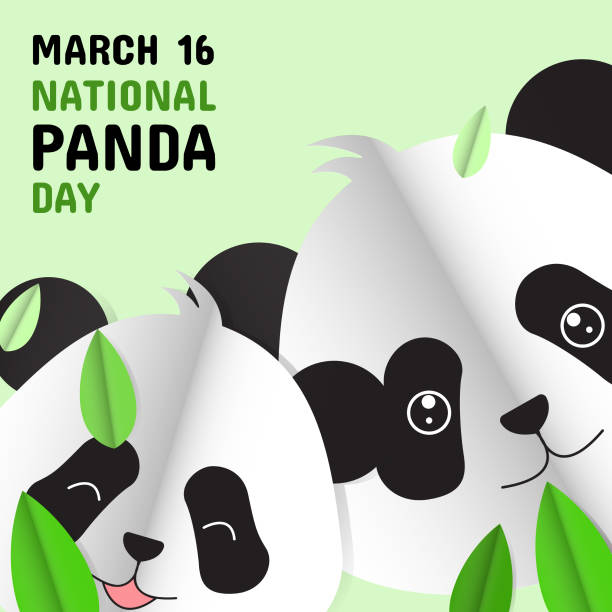 istock Vector illustration of pandas and bamboo leaves in folded paper style with text. March 16 National Panda Day Commemoration. 2203721109