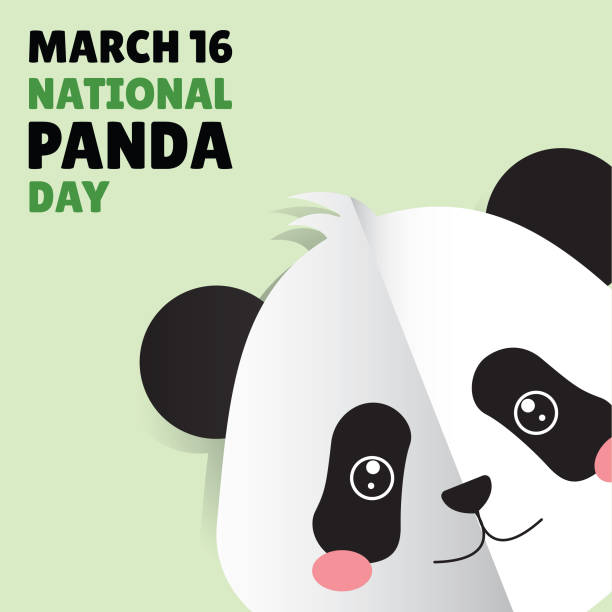 istock National Panda Day on March 16, Vector Illustration of Cute Panda in Folded Paper Style on Minimalist Green Background. 2203722278