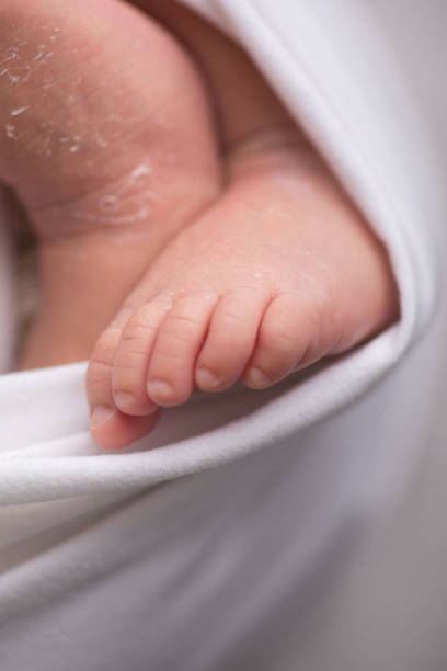 istock Newborn baby feet close up 2203722454