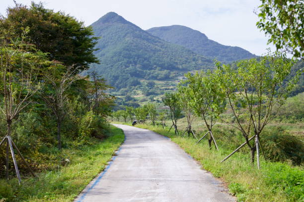 istock Seomjingang Bike Path with Mountain View 2203723599