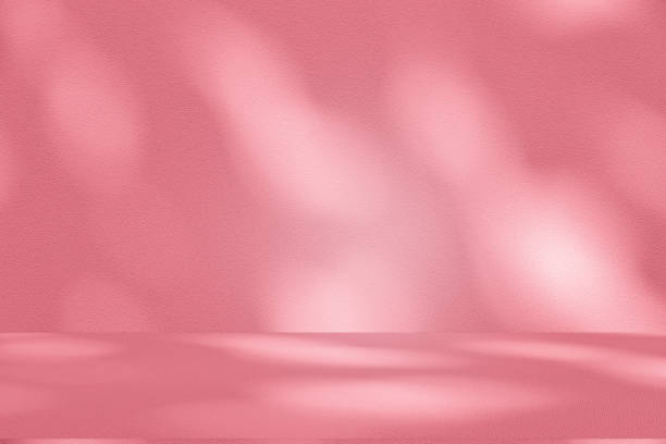 istock Wall interior background, studio, and backdrops show products. with shadow from window color white and pink light. background for text insertion and presentation of product 2203726851