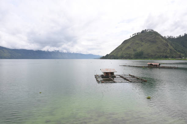 Freshwater fish cages in the freshwater lake of central aceh, indonesia