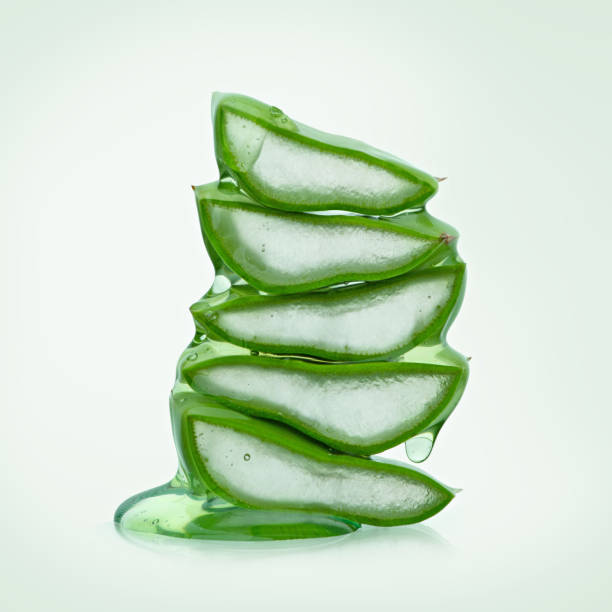 istock Aloe pieces with drops of gel 2203739179