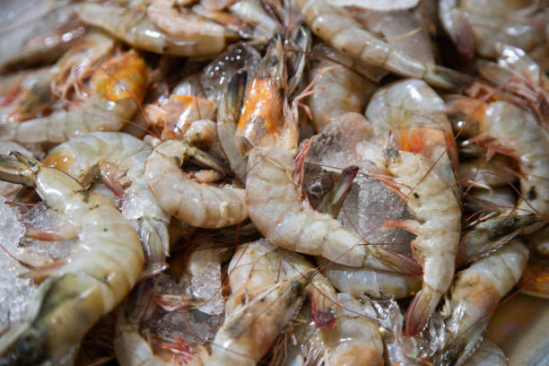 istock Authentic fresh shrimp at the central market in Oaxaca, Mexico. 2203739737