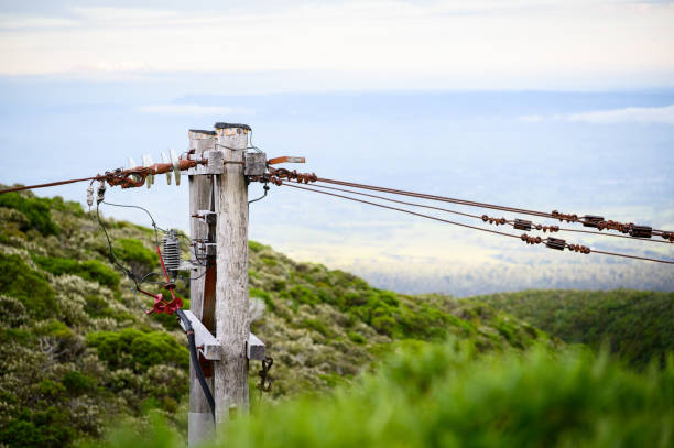 istock Power cables and post on the mountain side. Manganui Gorge. Taranaki. 2203742386