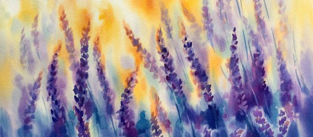 istock Violet lavender field blooming in the sunset watercolor background 2203744242