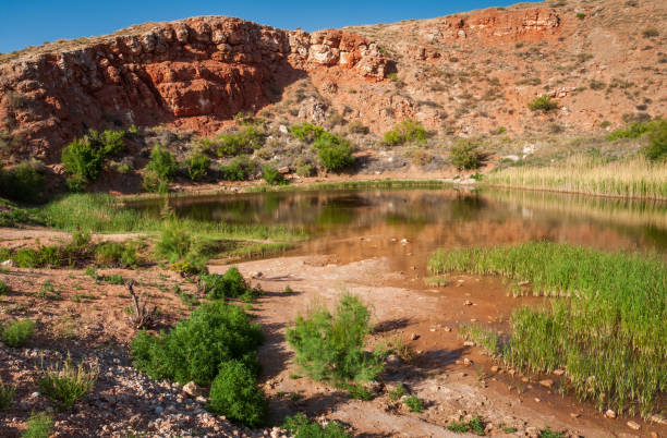 istock Bottomless Lakes State Park in New Mexico 2203747550