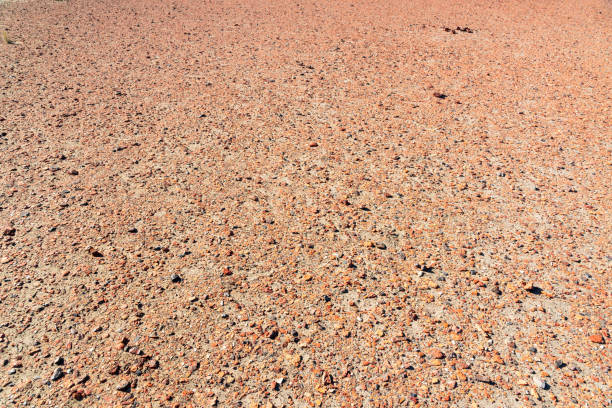 Dried mud surface - dry riverbed earth texture. Drought in India.