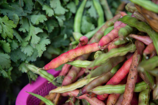 istock Red bean pods at a market in Oaxaca, Mexico. 2203749876