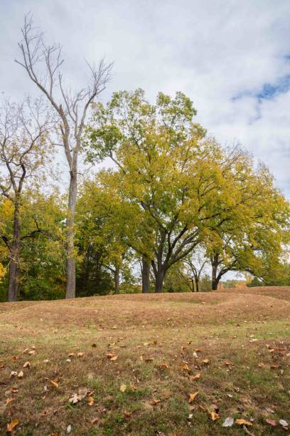 istock Serpent Mound State Memorial, Effigy Mound in Peebles, Ohio 2203750720