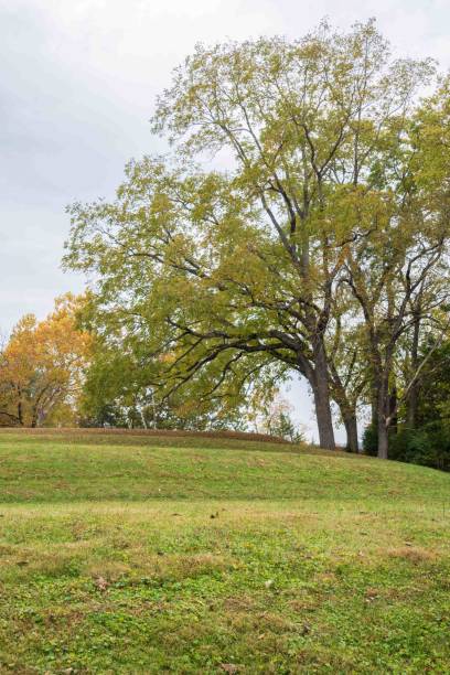 istock Serpent Mound State Memorial, Effigy Mound in Peebles, Ohio 2203750786