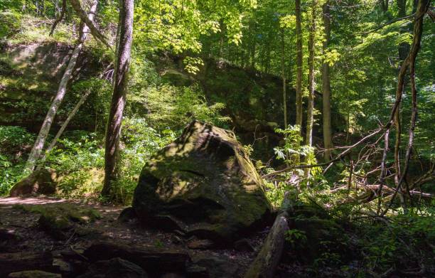 istock Rock House at Wayne National Forest in Ohio 2203751371