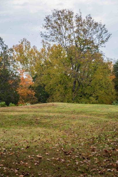 istock Serpent Mound State Memorial, Effigy Mound in Peebles, Ohio 2203751410