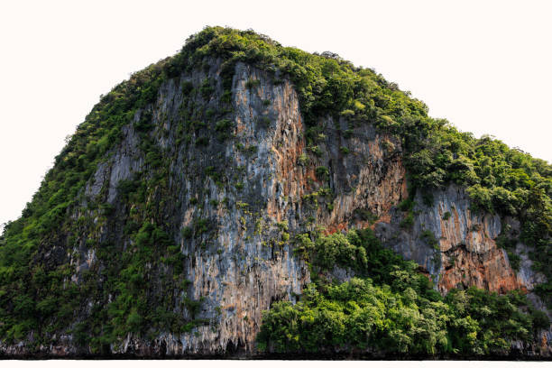 Green mountain isolated on white background in the rain season.