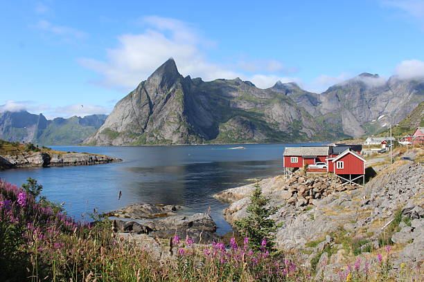 istock Lofoten in northern Norway 2203755721
